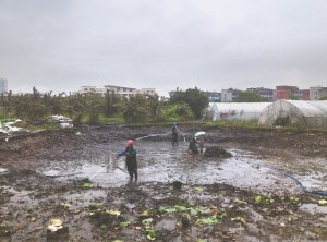 昆明河道鱼塘清淤